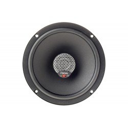 Focal ICU 165